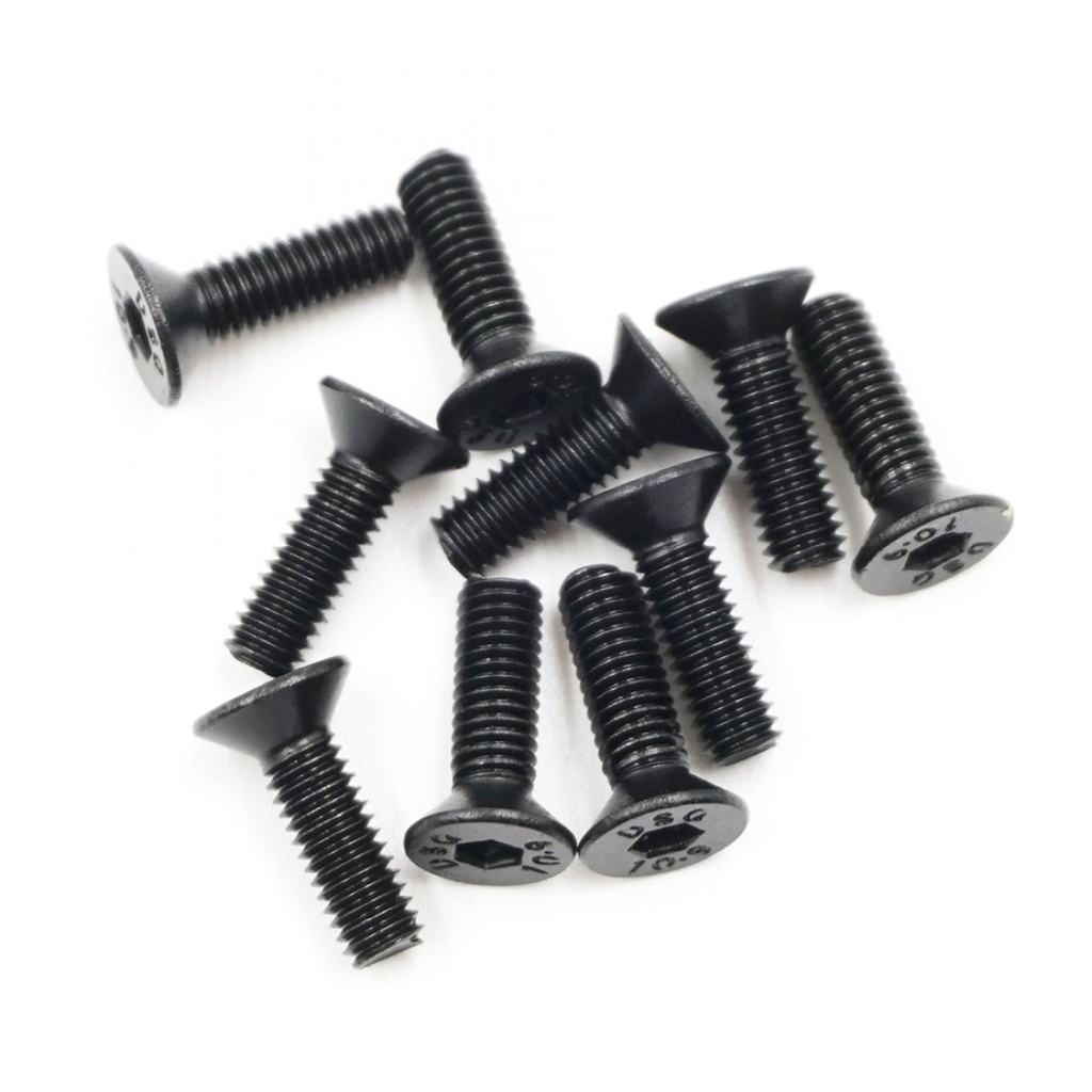 Xpress Flat Head Hex Screw 3x10mm (x10) XP-40049