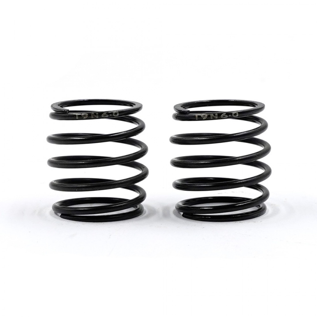 Xpress Barrel Spring 6.0P 19N (x2) XP-11208