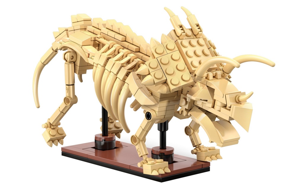 [C59013W] CaDA C59013W – Fossile de dinosaure Tricératops