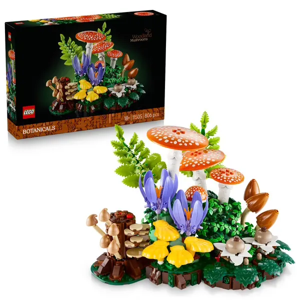 woodland mushrooms 11505