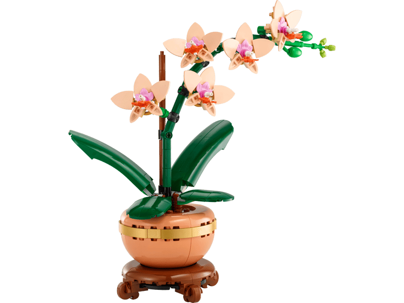 [10343] Lego Botanicals #10343 L’orchidée miniature